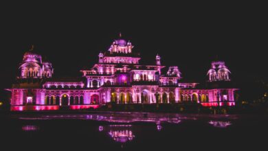 Rajasthan Suket