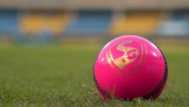 pink cricket ball