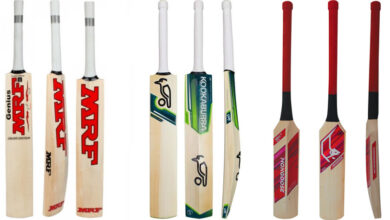 Types of Cricket Bat