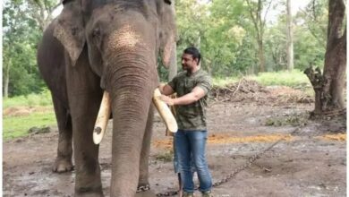Darshan helps wildlife prevention workers