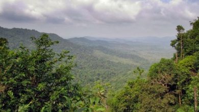 In the Heart of the Western Ghats